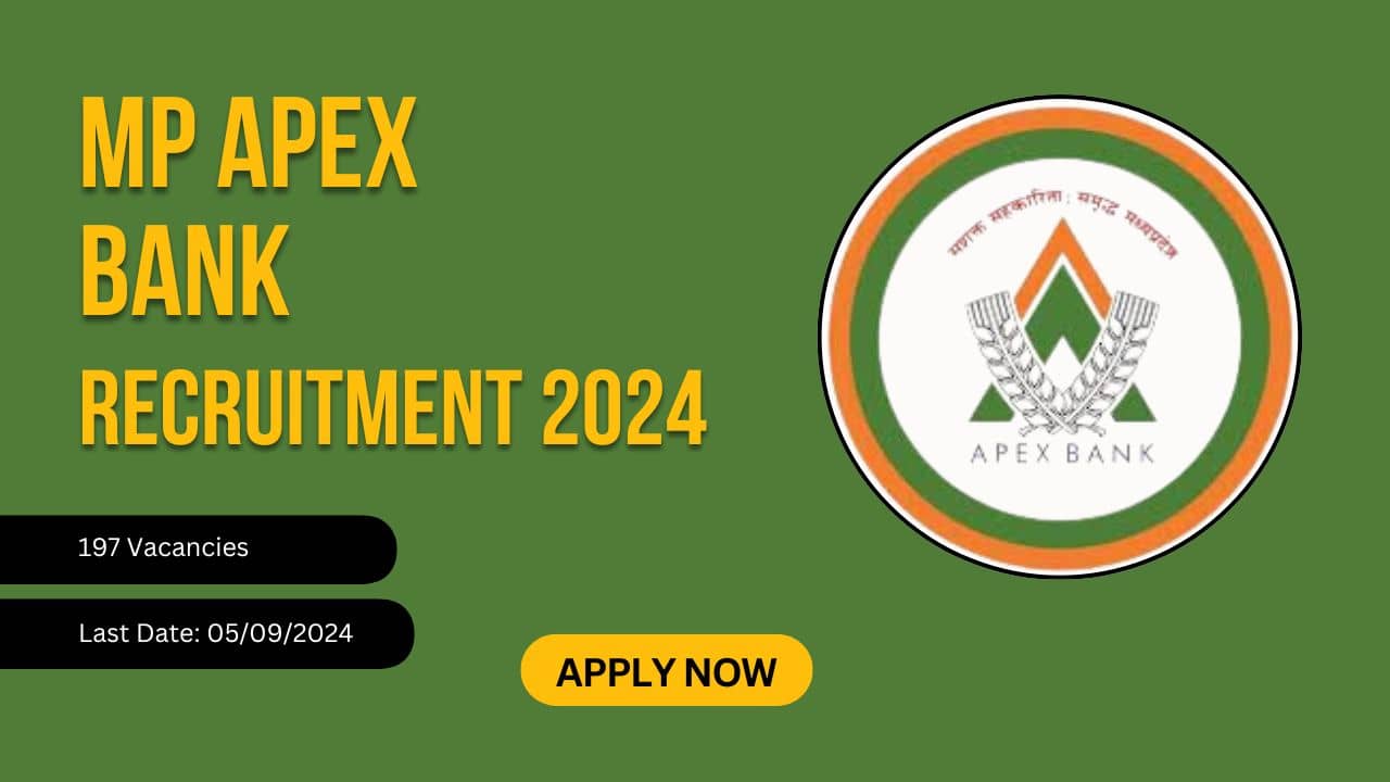 MP Apex Bank Recruitment 2024